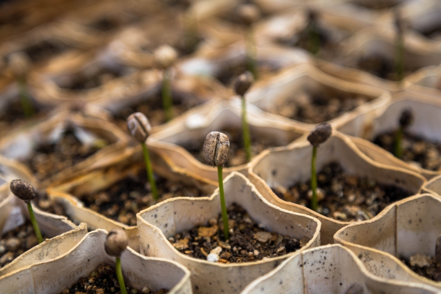 How Compliance and Creating Better Workplaces Go Hand in Hand
